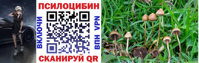 Купить где  Нижняя Салда  Псилоцибиновые грибы ЛСД 